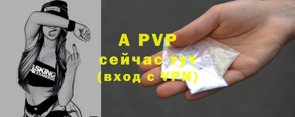 дживик Навашино